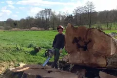 Exploitation forestière