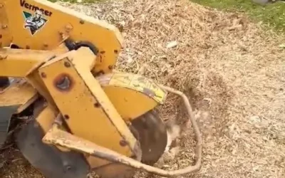 Dessouchage à Nancy : transformez votre terrain avec un service expert