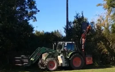 Débroussaillage forestier à Épinal : protégez vos forêts avec expertise !
