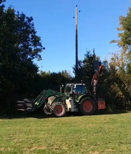 débroussaillage débroussaillage