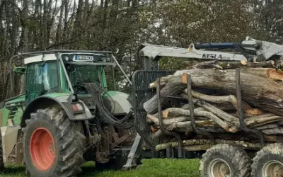Exploitant forestier à Épinal : gérez votre forêt avec Bourassin Schouwey