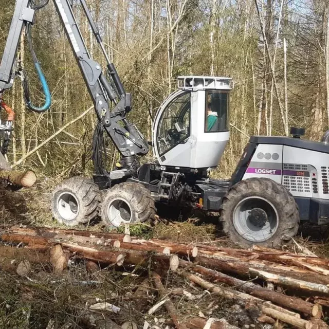 Exploitation forestière en Haute-Saône : un savoir-faire complet avec Bourassin-Schouwey Exploitation forestière en Haute-Saône : un savoir-faire complet avec Bourassin-Schouwey