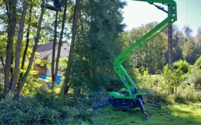 Élagage d’arbre à Montbéliard : confiez vos arbres à un expert